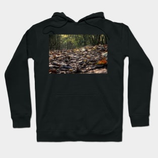 Autumn Leaves Hoodie